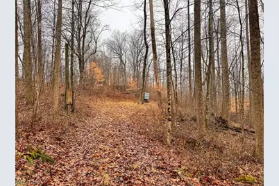 Heston Road, Kimbolton, OH 43749 - Photo 1