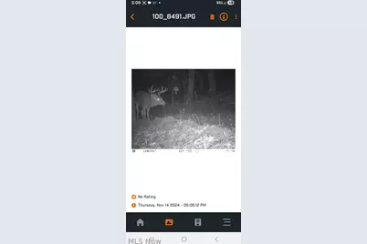 Heston Road, Kimbolton, OH 43749 - Photo 19