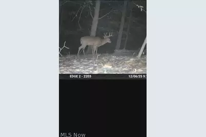 Heston Road, Kimbolton, OH 43749 - Photo 23