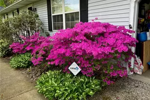 3867 Melv St, Barberton, OH 44203 - Photo 41