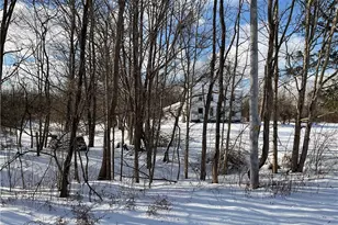 4165 Wheeler Creek Rd, Geneva, OH 44041 - Photo 3