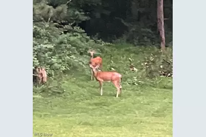 400 Garver Road, Mansfield, OH 44903 - Photo 47