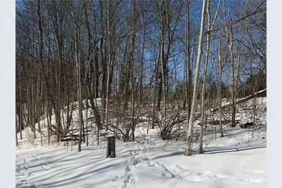 Old Weymouth Road, Medina, OH 44256 - Photo 3