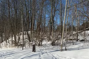 Old Weymouth Rd, Medina, OH 44256 - Photo 3