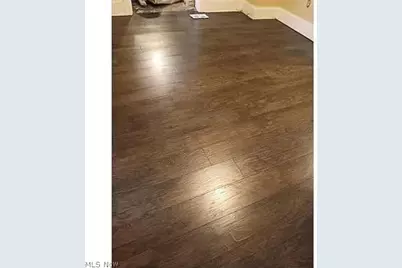 1100 E 74th Street, Loveland, OH 44103 - Photo 23