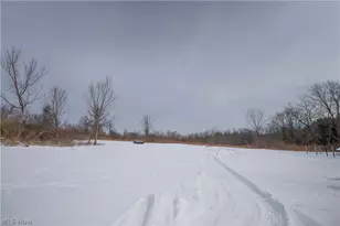 283 Township Road 241, Toronto, OH 43964 - Photo 35