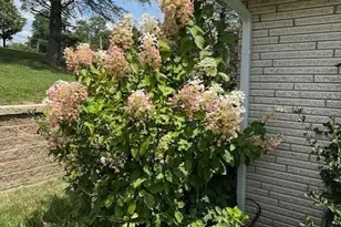 67582 Clark Rd, St Clairsville, OH 43950 - Photo 15