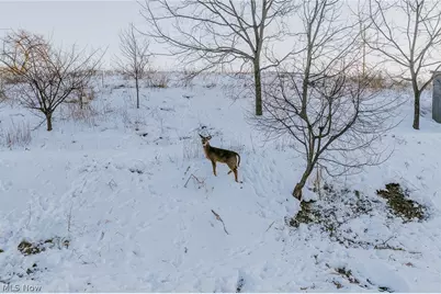 31705 Norris Road, Tippecanoe, OH 44699 - Photo 15