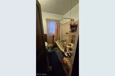 10704 Woodland Avenue, Loveland, OH 44104 - Photo 15