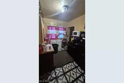 10704 Woodland Avenue, Loveland, OH 44104 - Photo 3