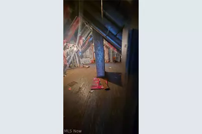 10704 Woodland Avenue, Loveland, OH 44104 - Photo 17