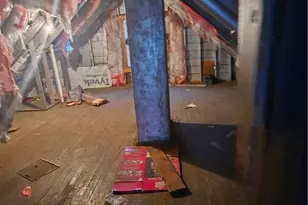 10704 Woodland Ave, Loveland, OH 44104 - Photo 17