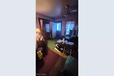 10704 Woodland Avenue, Loveland, OH 44104 - Photo 5