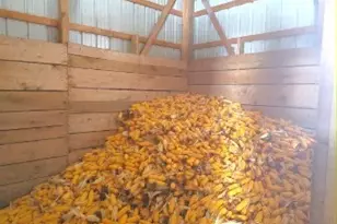 4194 Helsley Fusselman Rd, Worthington, OH 44470 - Photo 41