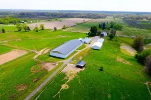 4194 Helsley Fusselman Rd, Worthington, OH 44470 - Photo 47
