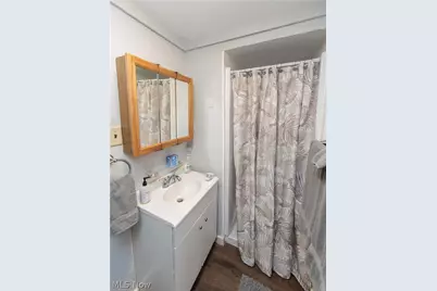 209 Dodge Street, Kent, OH 44240 - Photo 41