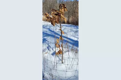 33480 County Road 99, Warsaw, OH 43844 - Photo 37