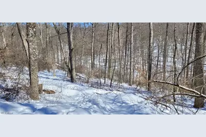 33480 County Road 99, Warsaw, OH 43844 - Photo 17