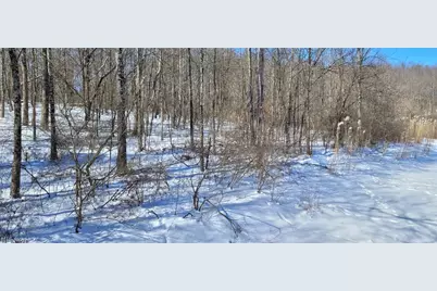 33480 County Road 99, Warsaw, OH 43844 - Photo 29