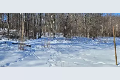 33480 County Road 99, Warsaw, OH 43844 - Photo 35