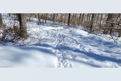 33480 County Road 99, Warsaw, OH 43844 - Photo 19