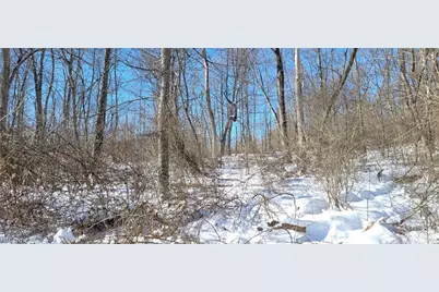 33480 County Road 99, Warsaw, OH 43844 - Photo 23