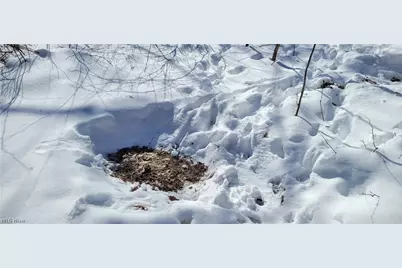 33480 County Road 99, Warsaw, OH 43844 - Photo 43