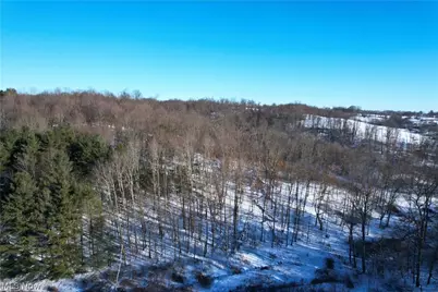 Fostor Road, Dresden, OH 43821 - Photo 19