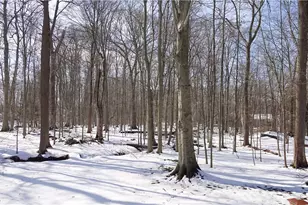 17886 Lost Trail, Chagrin Falls, OH 44023 - Photo 7