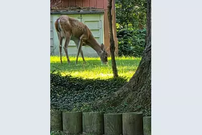 202 Old State Road S, Norwalk, OH 44857 - Photo 29