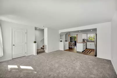 698 Pine Spring Drive, Painesville Twp, OH 44077 - Photo 19