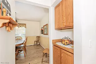 1329 Gill Ct, Twinsburg, OH 44087 - Photo 9