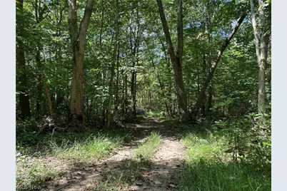 8292 State Route 60, Lowell, OH 45744 - Photo 5