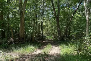 8292 State Route 60, Lowell, OH 45744 - Photo 5