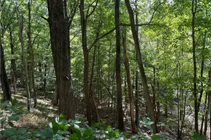 8292 State Route 60, Lowell, OH 45744 - Photo 3