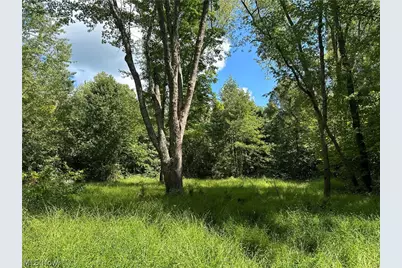 8292 State Route 60, Lowell, OH 45744 - Photo 7