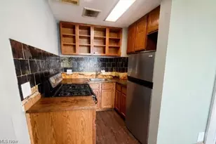 3645 Prospect Ave E, Loveland, OH 44115 - Photo 3