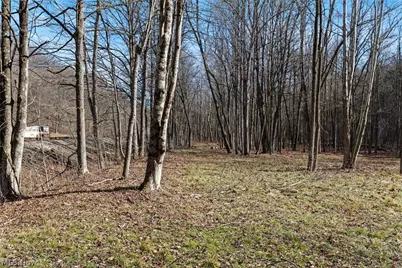 2994 State Route 524, Bergholz, OH 43908 - Photo 31