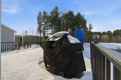 320 Lakeland Way, Aurora, OH 44202 - Photo 37