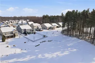 320 Lakeland Way, Aurora, OH 44202 - Photo 39