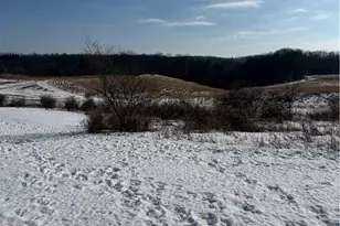 11973 Virtue Rd, Kimbolton, OH 43716 - Photo 5