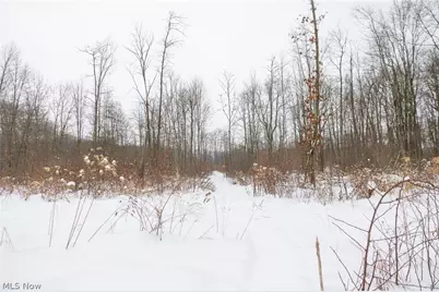 3542 Mann Road, Andover, OH 44003 - Photo 27