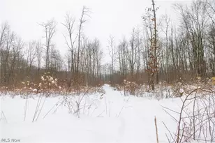 3542 Mann Rd, Andover, OH 44003 - Photo 27