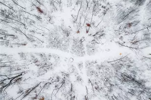 3542 Mann Rd, Andover, OH 44003 - Photo 37