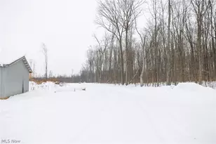 3542 Mann Rd, Andover, OH 44003 - Photo 25