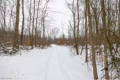 3542 Mann Road, Andover, OH 44003 - Photo 29