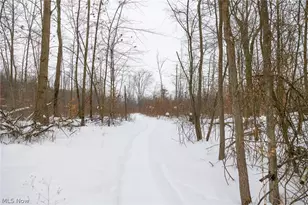 3542 Mann Rd, Andover, OH 44003 - Photo 29