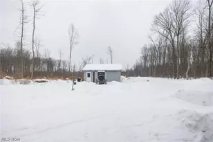 3542 Mann Rd, Andover, OH 44003 - Photo 21