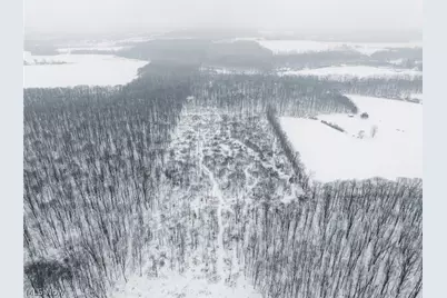 3542 Mann Road, Andover, OH 44003 - Photo 33