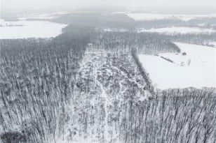 3542 Mann Rd, Andover, OH 44003 - Photo 33